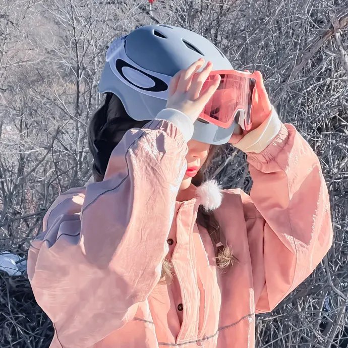 阿加莎·瑞森探案